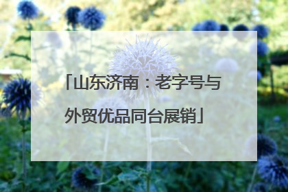 山东济南：老字号与外贸优品同台展销